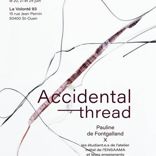 ACCIDENTAL THREAD  19.06.2024
